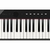 Piano Digital Casio Privia PX-S1100 Preto + Suporte Duplo + Capa - loja online