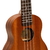 Kit Ukulele Soprano UB 21 Benson + Capa + Afinador + Palhetas Sortidas na internet