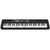 Teclado Musical Casiotone CT-S500 Preto - 61 Teclas na internet