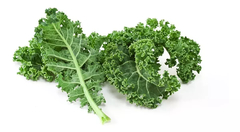 Semilla Kale Florenza Rizada Verde (130g) - comprar online