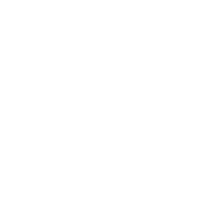 Fan Medias