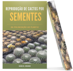E-book - Reprodução de Cactos por Sementes - Da Polinização ao Plantio - Livro Digital