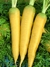 Sementes de Cenoura Solar Amarela Orgânico
