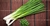 Sementes de Cebolinha Evergreen Orgânico - comprar online