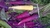 Sementes de Cenoura Cosmic Purple (Roxa)