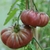 Sementes de Tomate Purple Calabash