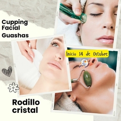 Curso Online MASAJE FACIAL - TÉCNICAS MIXTAS - VALOR INSCRIPCIÓN - CURSO DE ESPECIALIZACIÓN - 3 meses - Valor Inscripción: - tienda online