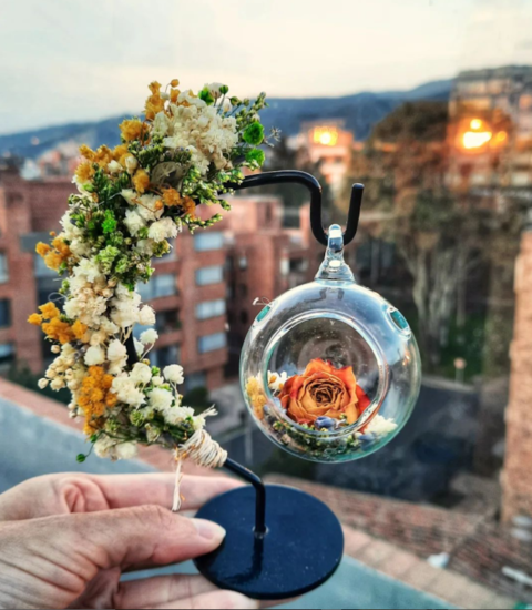 Flores secas Bogotá, Armenia y Medellín – Pétalos Colombia