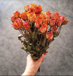 Bouquet de Mini Rosas Secas (Para Crear)