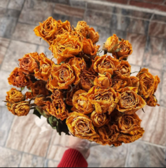 Bouquet de Mini Rosas Secas (Para Crear) en internet