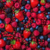 Frutas Vermelhas (morango, amora, framboesa e mirtilo) - Frutas Congeladas - 1kg