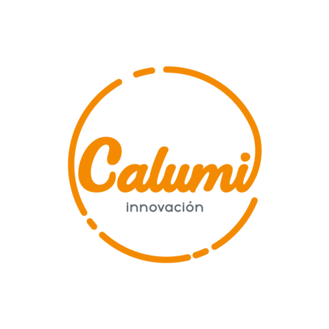 CALUMI