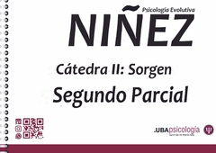 Psicología Evolutiva Niñez - Cátedra: Sorgen (Ex Paolicchi) . SEGUNDO PARCIAL