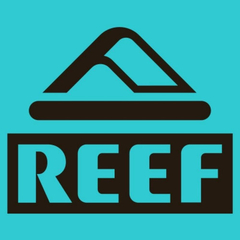 Armazones Anteojos Marcos Lentes Para Receta Reef 5265 002 - comprar online