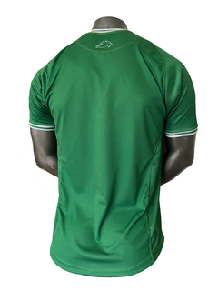 CAMISETA DE RUGBY IRFU SIX NATIONS 2024 en internet