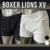 BOXER LIONS XV