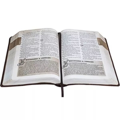 Bíblia das Descobertas para Adolescentes | Letra Normal | NTLH | Capa Couro rosa escuro Ilustrada - comprar online