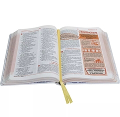 A Bíblia das Descobertas | Letra Normal | NTLH | Meninos - comprar online