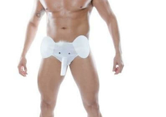 cueca-sexy-elefante-branco-sapeka