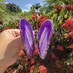 Borboleta Ágatas na internet