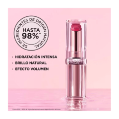 Bálsamo y Labial Glow Paradise Loreal componentes