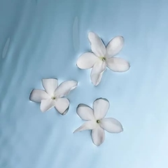 Perfume Cher Iris floral