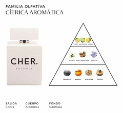 Perfume Cher Diecisiete fragancia