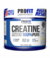 CREATINA POWDER 100% PURA POTE - PROFIT - 300g