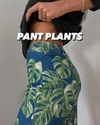 Pant Plants T1