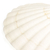 Concha Shell branca Unidade - comprar online
