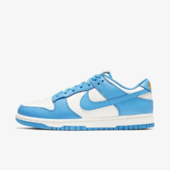 Nike dunk low ''Coast''