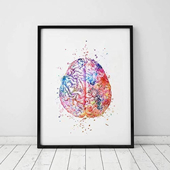 Acuarela Anatomía Cerebro Arte De La Pared Decoración en internet