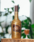 Licor 43 Chocolate 700ml na internet