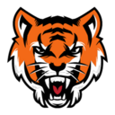 Logo de www.dulffi.com.br