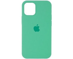 apple spearmint-ip 15