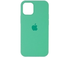 apple spearmint-ip 16 pro