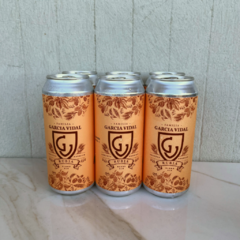 Six Pack - Blond Ale - comprar online