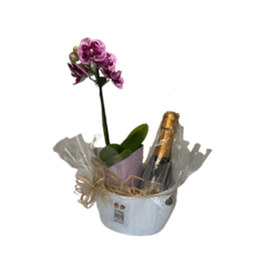 Kit Orquídea e Chandon Baby Brut