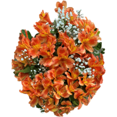 Mini Bouquet Astromélia Coral