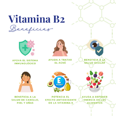 Vitamina B2 · 100 mg 30 cápsulas en internet