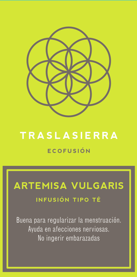 Artemisa Vulgaris