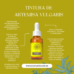 Artemisa vulgaris - TM 55ml en internet