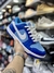 Nike Dunk Low SB Azul / Branco