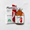 Flumax® 100 mL