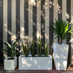 macetas para balcones con plantas