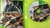Jogo Ace Combat assault horizon Xbox 360 - comprar online