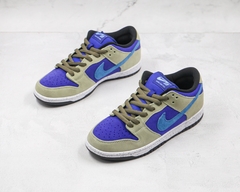 Nike SB Dunk Low Caldera ACG na internet