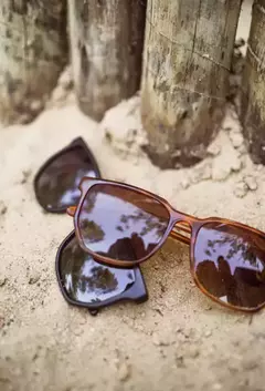 MEMPHIS SUN CAREY POLARIZED - BROWN - tienda online