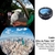 Kit de Lentes Fotográficas Multifuncional para Smartphones - comprar online