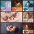 Tecido de Algodão para Ensaios Fotográficos Newborn - comprar online